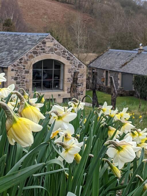 Woodmill Arches - Designer Barn Conversion For Two Apartment Lindores Exterior photo